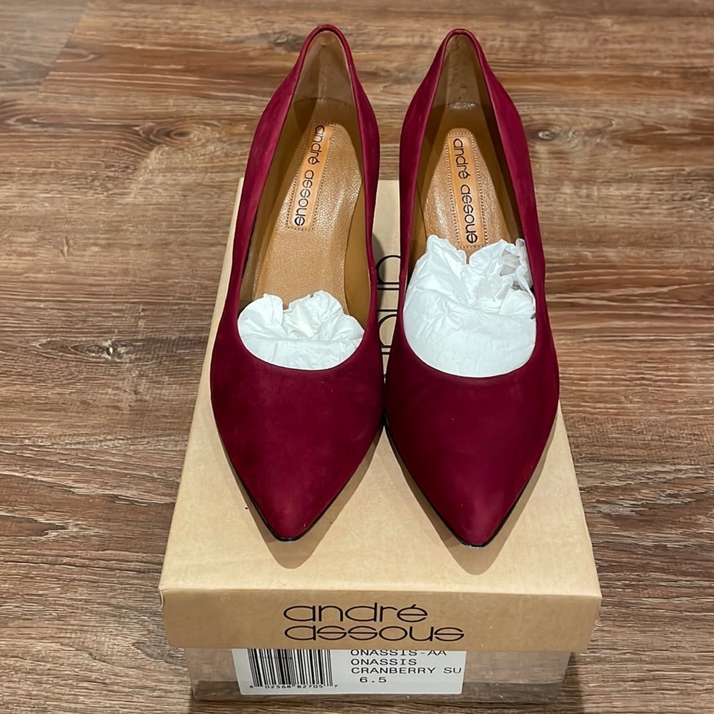 EUC Andre Assous pumps